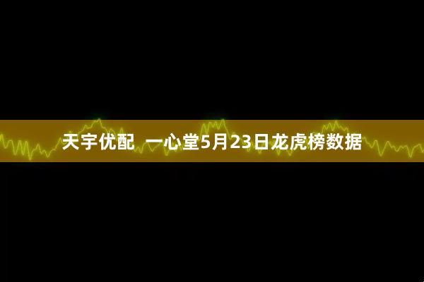天宇优配  一心堂5月23日龙虎榜数据