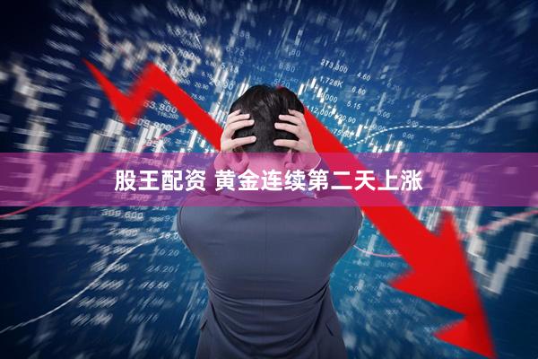 股王配资 黄金连续第二天上涨