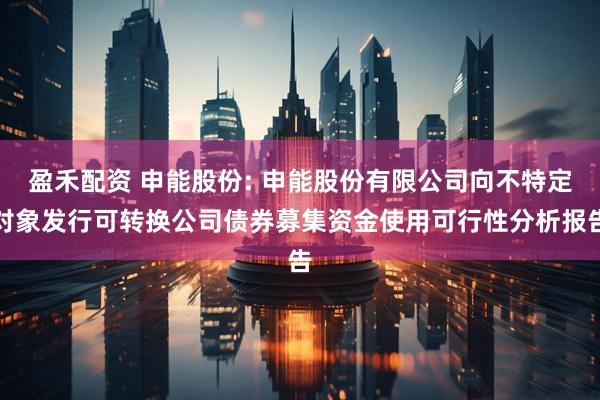 盈禾配资 申能股份: 申能股份有限公司向不特定对象发行可转换公司债券募集资金使用可行性分析报告