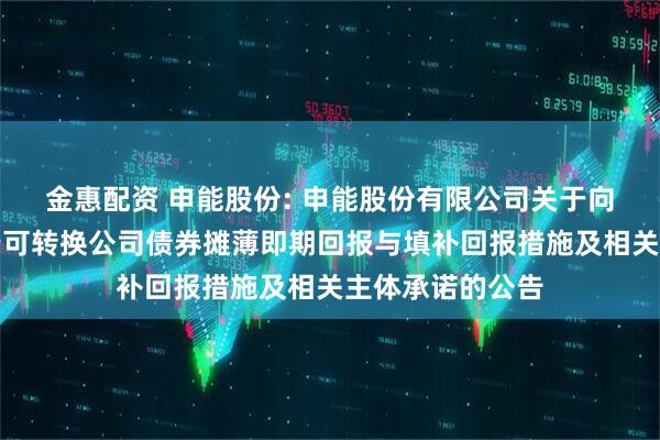 金惠配资 申能股份: 申能股份有限公司关于向不特定对象发行可转换公司债券摊薄即期回报与填补回报措施及相关主体承诺的公告