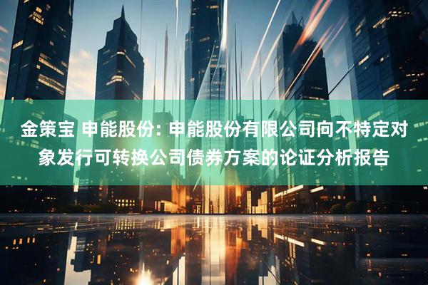 金策宝 申能股份: 申能股份有限公司向不特定对象发行可转换公司债券方案的论证分析报告