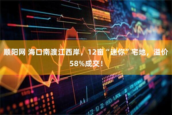 顺阳网 海口南渡江西岸，12亩“迷你”宅地，溢价58%成交！