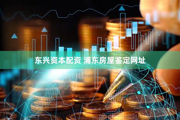 东兴资本配资 浦东房屋鉴定网址