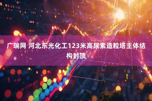 广瑞网 河北东光化工123米高尿素造粒塔主体结构封顶